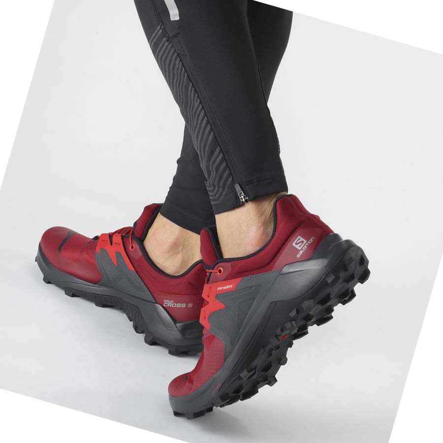 Salomon WILDCROSS 2 Trail Futócipő Férfi Fekete Piros | HU 2103ZUT